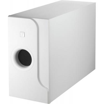 Loa siêu trầm 120W TOA FB-601W